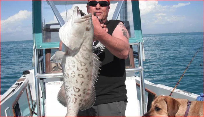 Fishing charter photo
