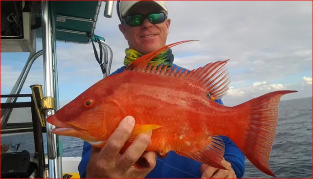 Great catch