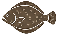 Flounder — common inshore catch on Tampa Bay fishing charters in St. Petersburg