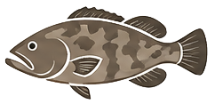 Grouper