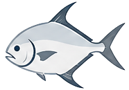 Permit — technical flats fishing target on Tampa Bay inshore charters