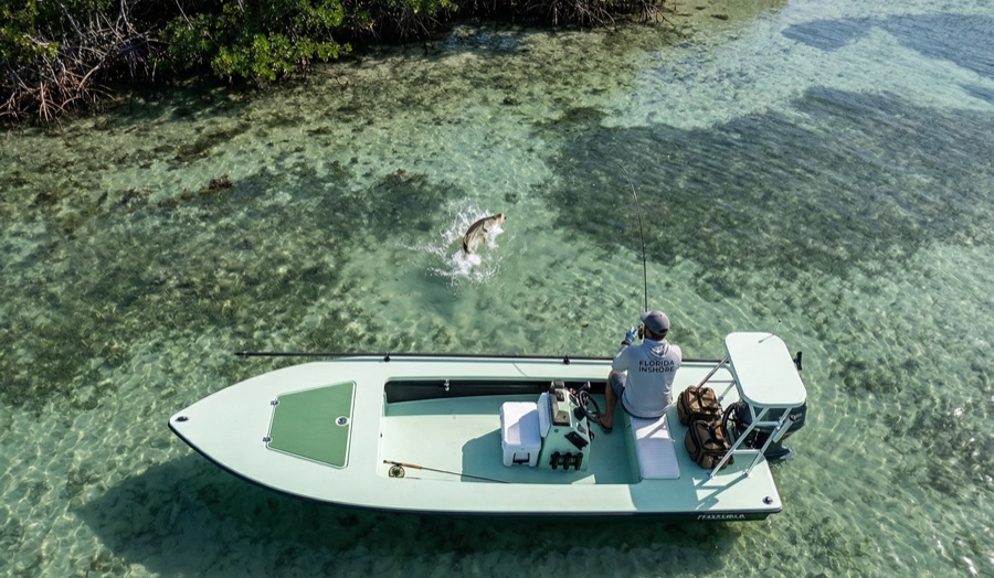 Inshore fishing on Tampa Bay flats
